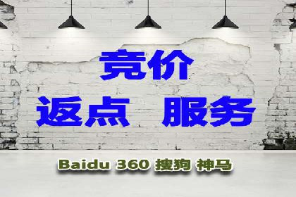 成功SEM推广代运营案例分享
